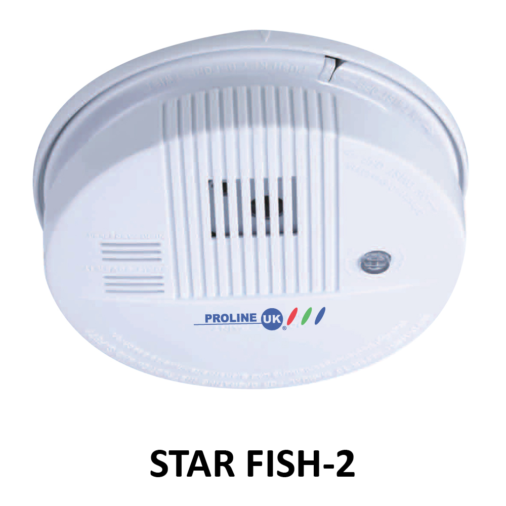 STAR-FISH-2.jpg